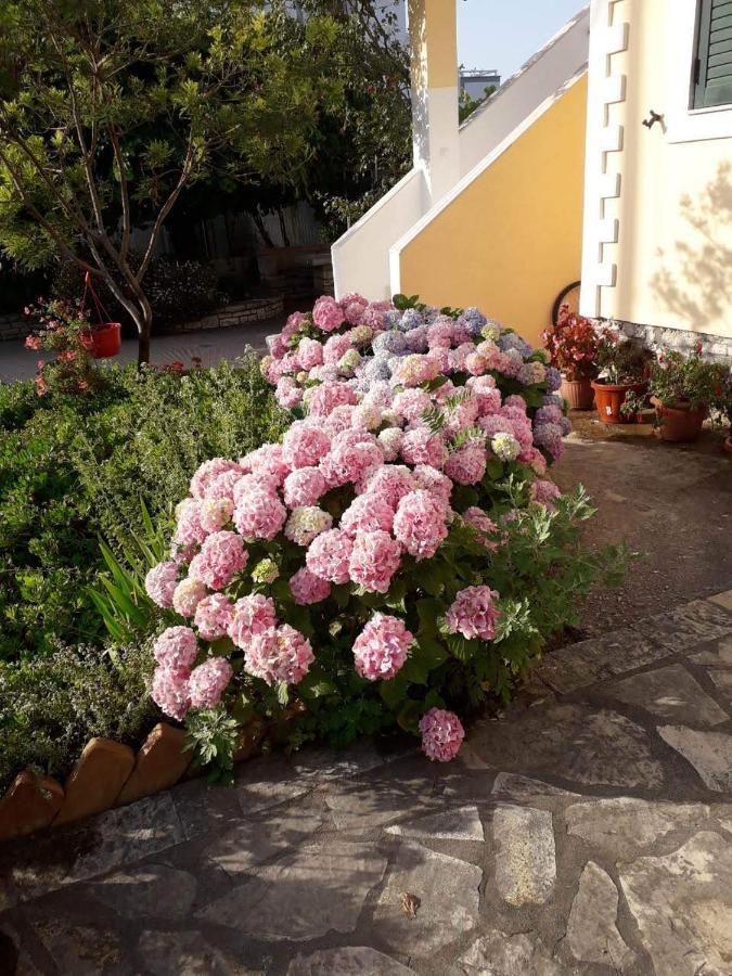 Villa Violeta Ksamil Buitenkant foto